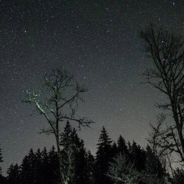 Himmelske herligheter: Nattehimmelen i februar byr på et stjernespekket utstillingsvindu