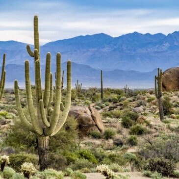 Visum for Arizona